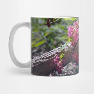 Springtime Mug